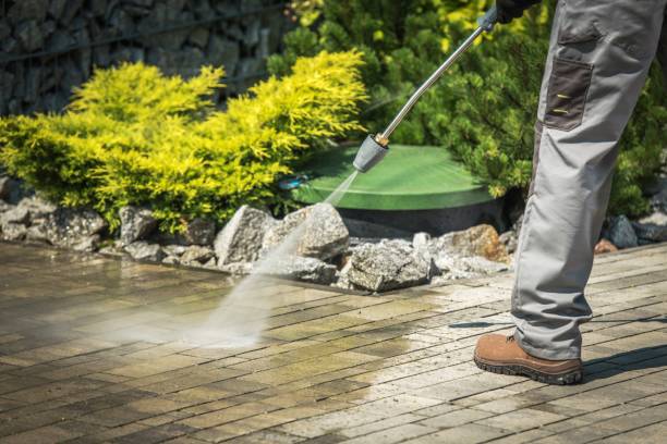 Best Pre-Holiday Cleaning  in Derry, PA